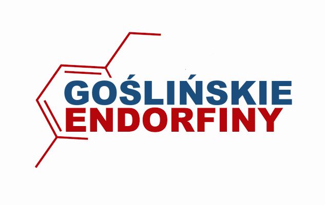Piknik Rodzinny Goślińskie Endorfiny 2022
